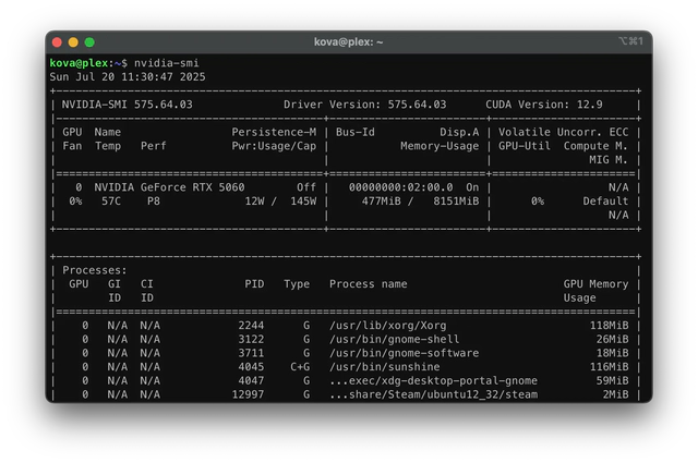 NVIDIA RTX 5000 Hardware Passtrough Options.